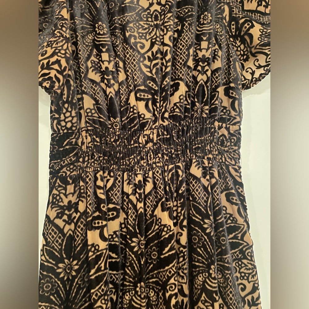 Anthropologie | Tan and Black Velvet Maxi Dress - Picture 7 of 14